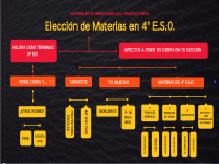 Elección de materias en 4º ESO